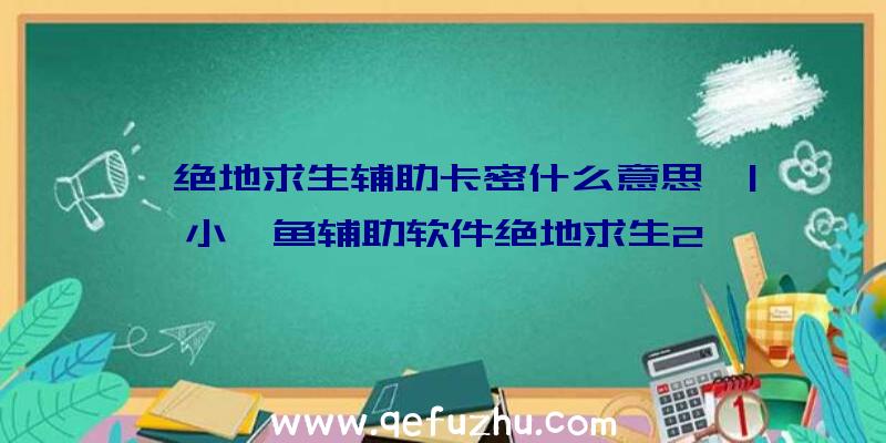 「绝地求生辅助卡密什么意思」|小鲨鱼辅助软件绝地求生2